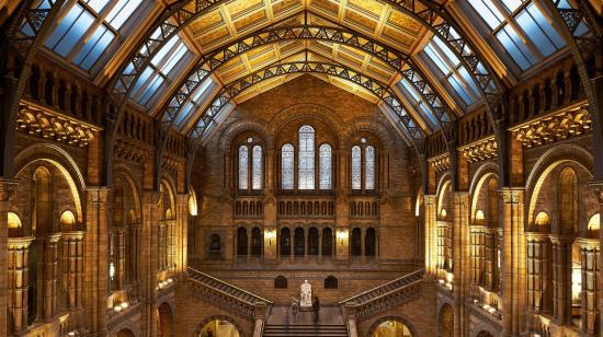 Vista interior del Museo de Historia Natural, en Inglaterra.