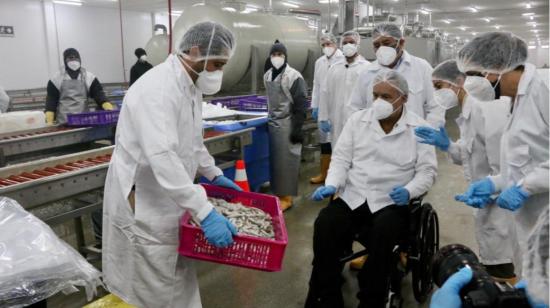 El ministro Iván Ontaneda y el presidente Lenín Moreno en la planta procesadora de camarón Tropack de la empresa 
Santa Priscila, el 13 de julio de 2020.