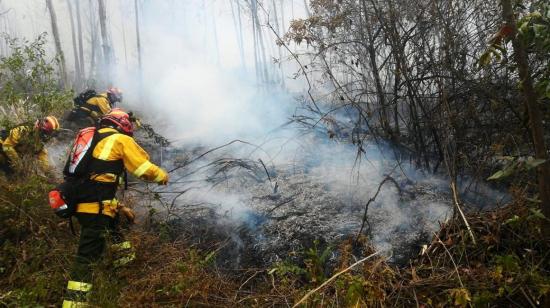 Bomberos de Quito controlaron un conato de incendio forestal ocurrido en el cerro Casitagua, el 6 de agosto de 2020.