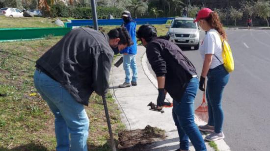 Personas haciendo trabajo comunitario en Quito, el 5 de septiembre de 2020. 