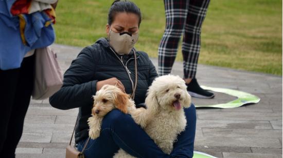 Una ciudadano descansa junto a sus dos mascotas en el parque La Libertad, en Cuenca, el 1 de julio de 2020.