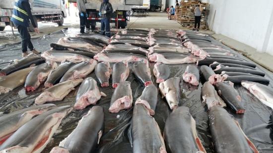 Oficiales de Aduanas de Perú incautaron 11 toneladas de tiburones mutilados, el 23 de septiembre de 2020. 