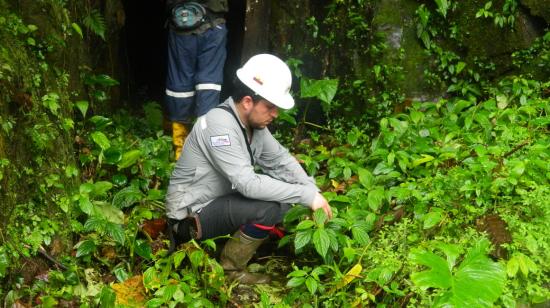 Un técnico de la Enami durante un análisis de campo en el bosque protector Los Cedros, en noviembre de 2018.