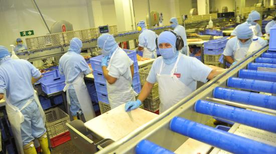 Imagen referencial. Trabajadores en la planta de Pronaca, en Ecuador, en 2014. 