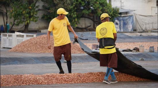 Imagen referencial. Personal de la empresa de cacao Guangala, en Guayaquil. 