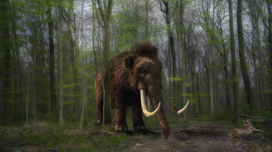 Ilustración que muestra un mamut en un bosque.