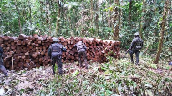 Miembros de las Fuerzas Armadas descubrieron, el 30 de octubre de 2020, un campamento ilegal de tala de árboles y decomisaron aproximadamente 1.000 tablones de madera de balsa y otros materiales, en Sucumbíos.