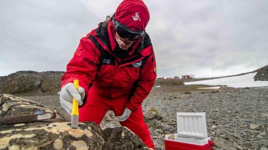 Investigador ecuatoriano tomando muestras en la base de Ecuador en la Antártida.