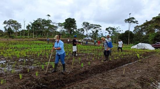 Productores de la Comunidad "San Guillermo", en Pastaza, el 8 de junio de 2021. 