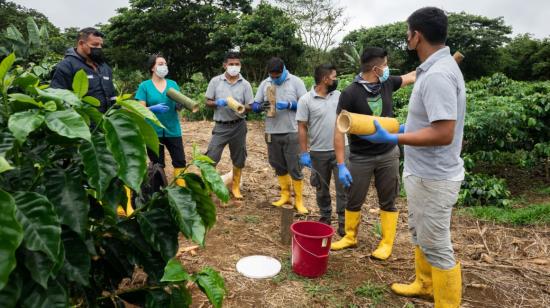 Agricultores de Galápagos recibieron capacitación para combatir a las especies introducidas