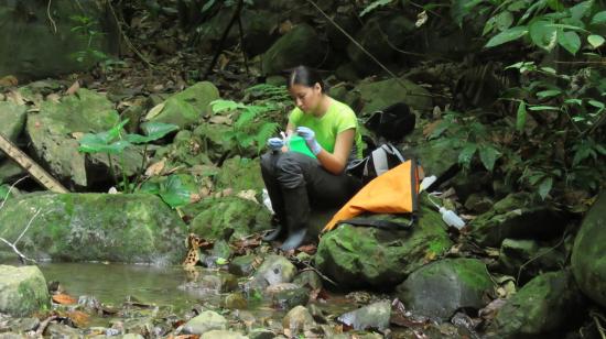 Investigadora tomando muestras de un río amazónico.