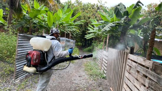 Un funcionario de la prefectura del Guayas realiza una fumigación contra el dengue, el 22 de mayo de 2021.