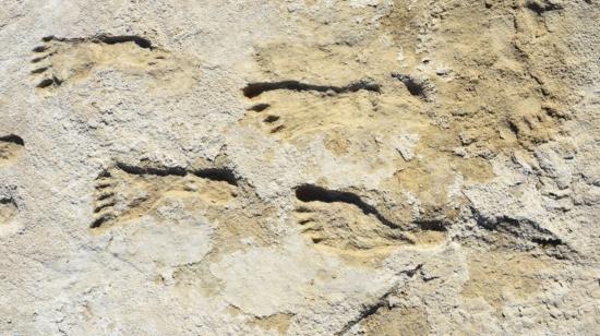 Fotografía cedida por el Parque Nacional White Sands en Nuevo México donde se muestran las huellas humanas de hace 23.000 años.