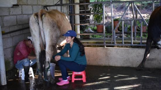 135 familias pertenecen a las siete organizaciones que conforman la empresa Red de Lácteos El Oro 