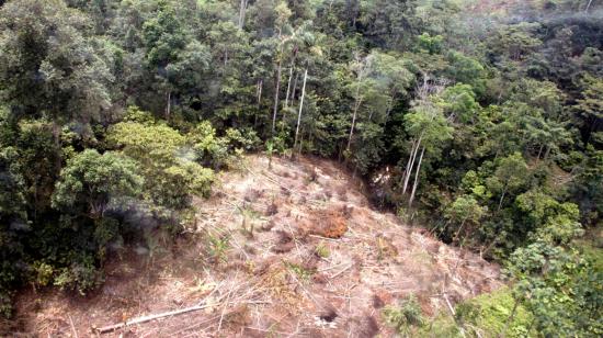 Vista de un bosque de Esmeraldas que ha sufrido la tala ilegal, el 22 de octubre de 2020.
