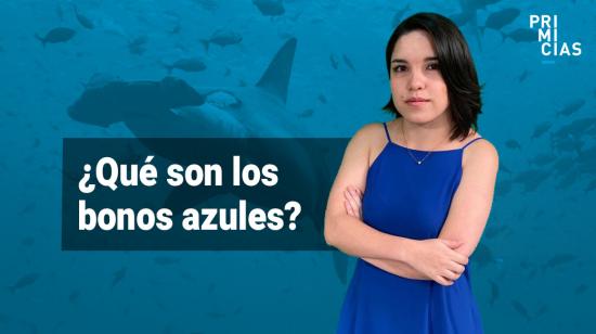 Video explicativo sobre los bonos azules. 