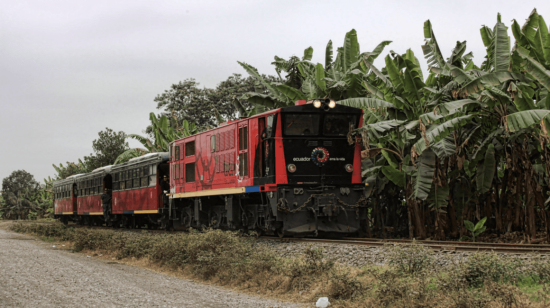 Tren cruzando un cultivo de banano en la Costa ecuatoriana el 5 de septiembre de 2013.