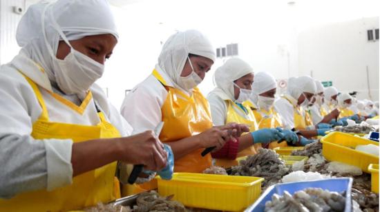 Trabajadores en una planta procesadora de camarón en Ecuador, en julio 2021. 