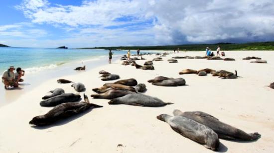 Turistas visitan uno de los atractivos de la Isla Santa Cruz, en Galápagos.