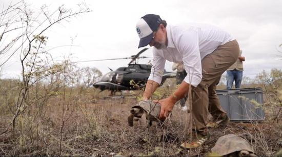 Gustavo Manrique, Ministro de Ambiente, en la isla Isabela, reinsertando tortugas que crecieron en cautiverio.