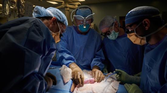 Fotografía cedida por el hospital NYU Langone Health, donde aparece el equipo quirúrgico mientras realiza el primer xenotrasplante de un riñón de cerdo modificado genéticamente a un ser humano, el 20 de enero de 2022. 