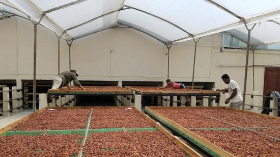 Imagen referencial. Una planta de producción de cacao en Ecuador.