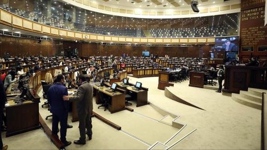 El Pleno de la Asamblea, durante el primer debate de la Ley para el uso legítimo de la fuerza, este 12 de abril de 2022.