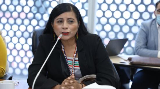 La legisladora Rosa Cerda durante la sesión de la comisión de la Salud, el 20 de abril de 2022.