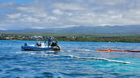 Personal del Parque Nacional Galápagos durante las labores de limpieza, tras el naufragio de un barco, el 23 de abril de 2022.