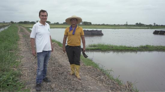 Mariano Montaño y Eliézer Rivera quieren impulsar el uso del helecho azolla para los cultivos de arroz sin fertilizantes. Nuevos Horizontes, 22 de junio de 2022.