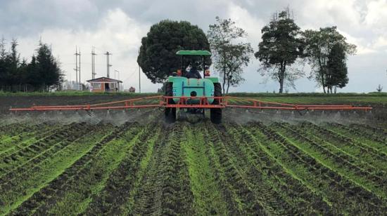 Monitoreo de lotes de producción de semilla de categorías iniciales, en la Estación Experimental Santa Catalina, en Pichincha, en marzo de 2022.