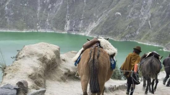 El maltrato animal en la zona del Quilotoa motivó miles de firmas de rechazo.