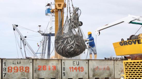 Cargamento de atún en el Terminal Portuario de Manta, en junio de 2021.