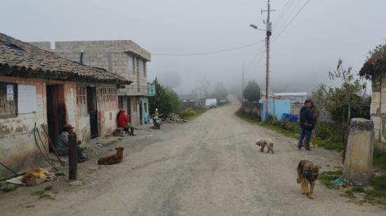 En el barrio San Juan de Chillogallo tienen un problema con el abandono de los perros.