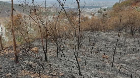 Panorámica del Cerro Azul, luego del incendio forestal del 5 de noviembre de 2022. 