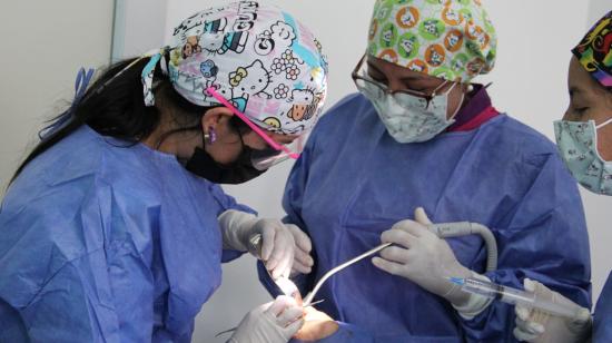 Un grupo de dentistas durante una revisión médica, en noviembre de 2021.