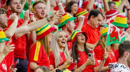 Aficionados durante un partido de la selección de Gales.