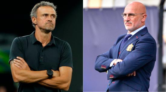 Luis Enrique dejó el cargo de entrenador de España después del Mundial y será reemplazado por Luis de la Fuente.