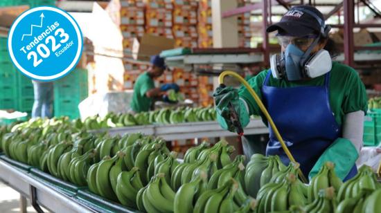 Imagen referencial de una finca desde donde se exporta banano, en El Oro, el 9 de mayo de 2022.