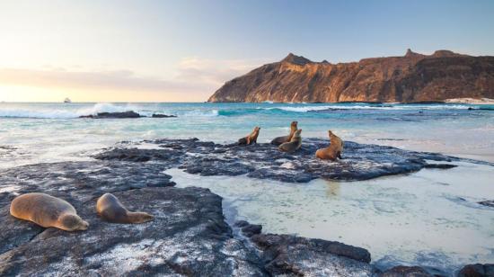 Imagen referncial de las Islas Galápagos, 18 de mayo de 2022.