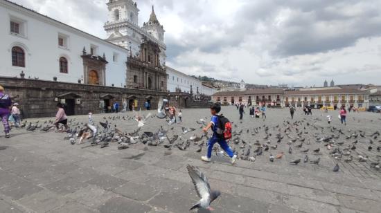 Un niño juega con palomas en la Plaza de San Francisco, el 17 de enero de 2021. El Municipio considera a las palomas como una de las plagas que afectan a a ciudad.