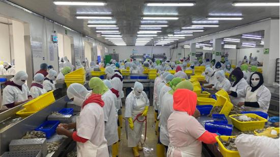 Trabajadores en la planta empacadora camaronera Paficif, en Manabí, en abril de 2022.