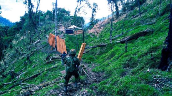 Decomiso de madera en la Reserva Ecológica Ilinizas, en Cotopaxi, en agosto de 2022. 