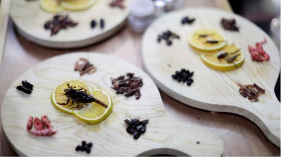 Un plato hecho con insectos, entre ellos gusanos y grillos, en un restaurante de México, el 1 de enero de 2023. 