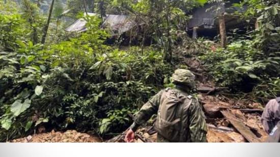 El laboratorio de droga estaba camuflado en la selva de Sucumbíos.