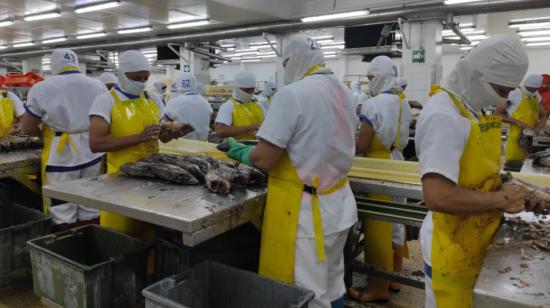 La industria atunera busca nuevos mercados para incursionar en 2023.