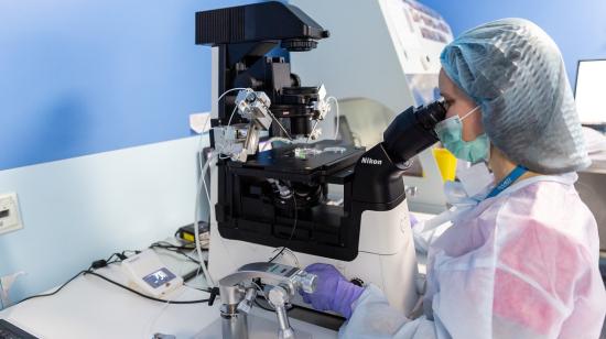 Imagen referencial. Una científica en un laboratorio de un centro de reproducción asistida, Brasil, 23 de febrero de 2023. 