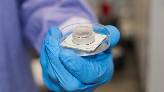 Un científico sostiene una célula madre personalizada en un laboratorio, en Australia, el 11 de octubre de 2022. 