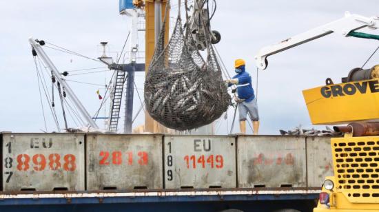 Descarga de atún en el Terminal Portuario de Manta, Ecuador, junio de 2021.