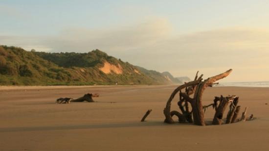 La playa El Pajonal, en Manabí, es el sitio donde se construirá la academia de Wursta Technology para especializar los Arquitectos de Google Cloud. 